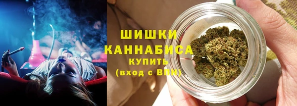 spice Богданович